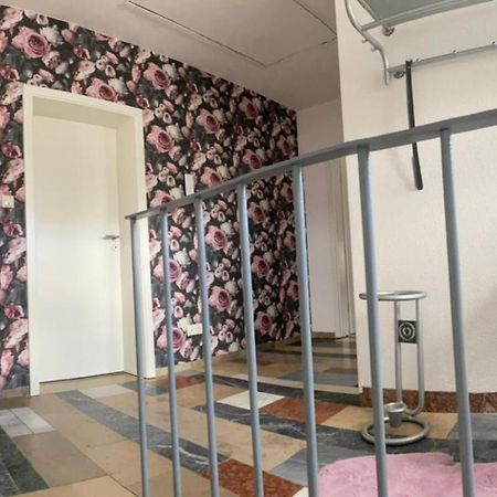 Erica Ferienwohnung Auf Dem Traumpfad Ettringen  Buitenkant foto